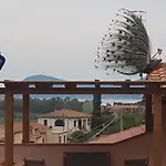 Casa Santi ポルトフェッラーイオ