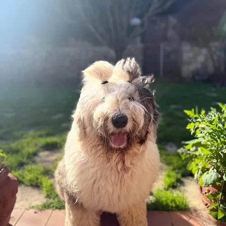 Casa Santi بورتوفيرّايو