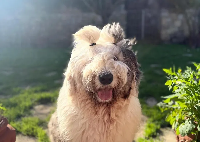 Casa Santi Portoferraio
