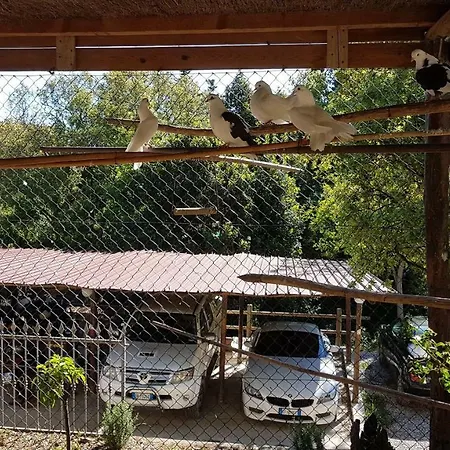 아파트 Casa Santi Appartamenti