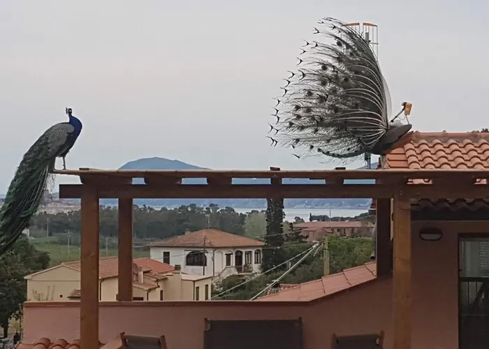 Casa Santi Portoferraio